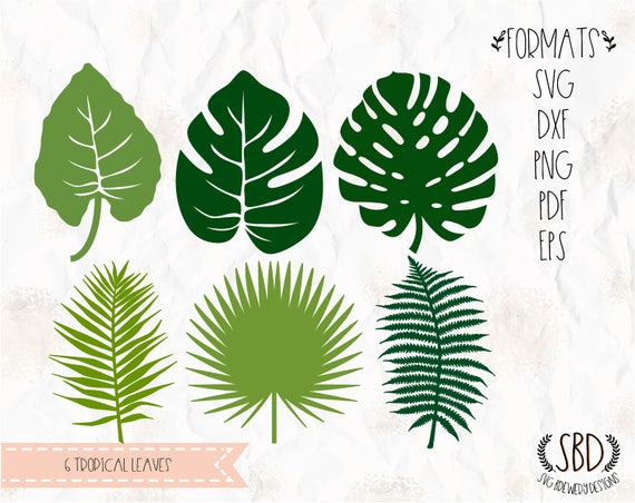 Download Tropical plants Leaves leaf philodendron SVG PNG EPS