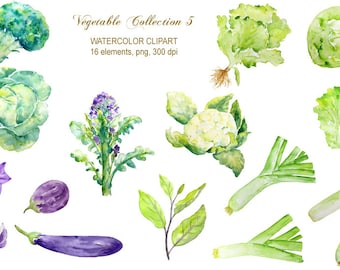 hand painted watercolor vegetables lettuce, leeks, aubergine, cabbage, broccoli digital clipart instant download for greeting cards