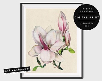Printable Botanical Print Magnolia Wall Art Print, Vintage Magnolia Print, Magnolia Illustration Botanical Vintage Art, Magnolia Poster Art
