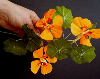 Paper Nasturtium Tutorial / Paper Flower Tutorial