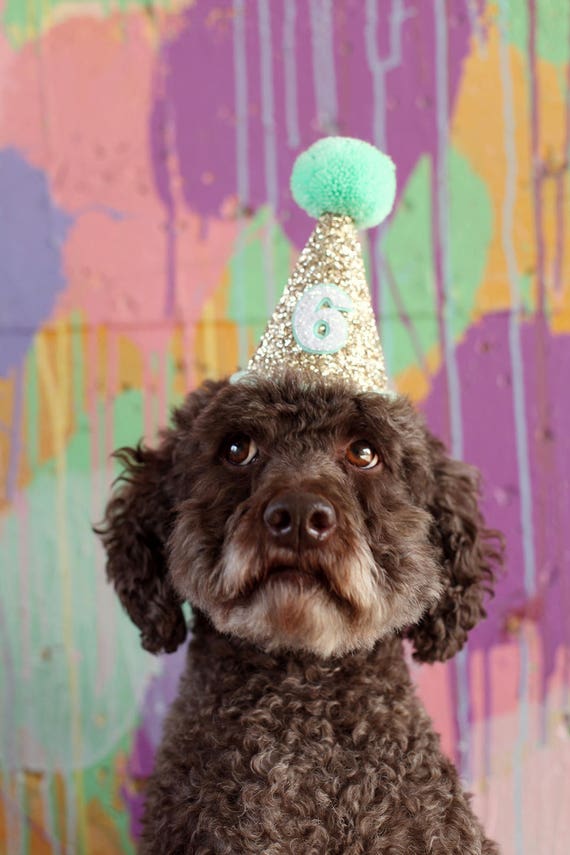 Dog Party Hat | Dog Birthday | Pet Birthday Party Hat | Dog Lover Gift