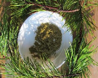 Pine Needle Tea - Wild Harvested Powdered Virginia Pine, Pinus virginiana, Natural Vitamin C