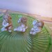 3 Pcs Little angels Hand Painted Each 2 1/4 Inch High Playing Different Instruments All Made in Occupied Japan Stamped on the Bottom