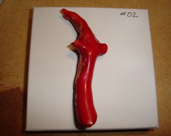 Red Coral Branch Old Stock
