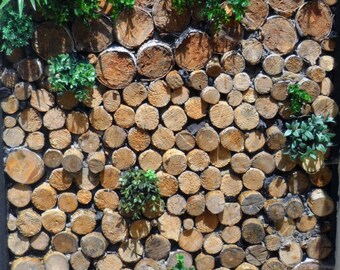 Green Wall, green wall, logs, wooden logs, plant design, green