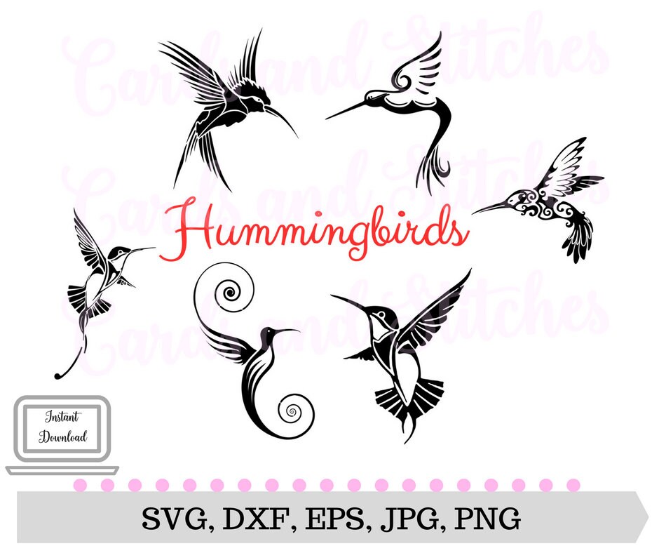 Free Free 285 Free Hummingbird Svg Files SVG PNG EPS DXF File