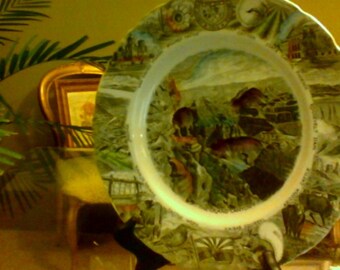 The Arizona Plate , made expressly for Diamond's Johnson Brothers in England.