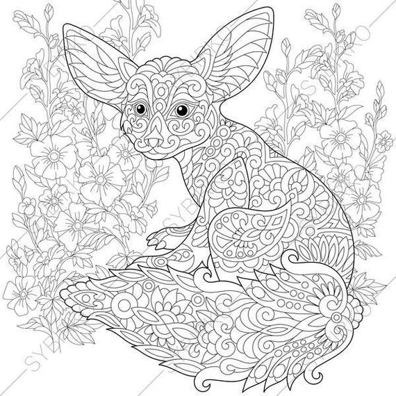  Fennec  Fox  Mallow Flowers Coloring  Pages  Animal coloring 