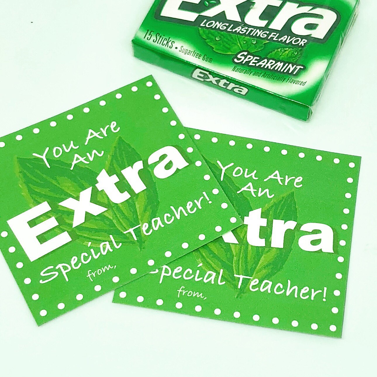 Teacher Appreciation Tags Extra Special Teacher Teacher