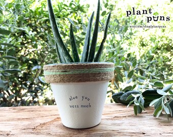 4" Aloe You Vera Much » Aloe Vera Cute Succulent Planter Plant Pot Cute Succulent Aloe Succulent Plant Gift Set Plant Puns Decorated Planter