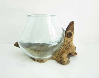 Molten Glass on Driftwood Base-8.5"x 5.5"-Air Plant Terrarium-Fish Bowl-Eco Planter-Hand Blown Terrarium Glass-Driftwood Decor-Unique Gifts