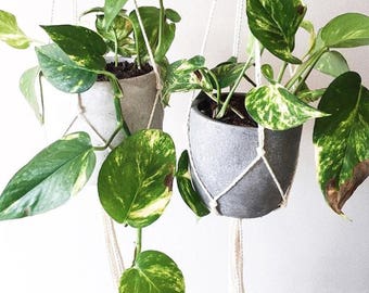 BUNDLE 2 x Minimalist Macrame Hanging Planters