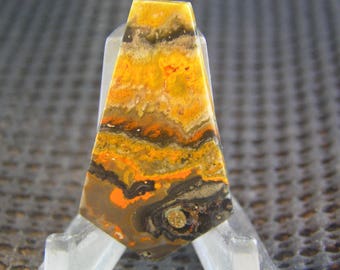 Bumblebee Jasper Freeform Designer Cabochon