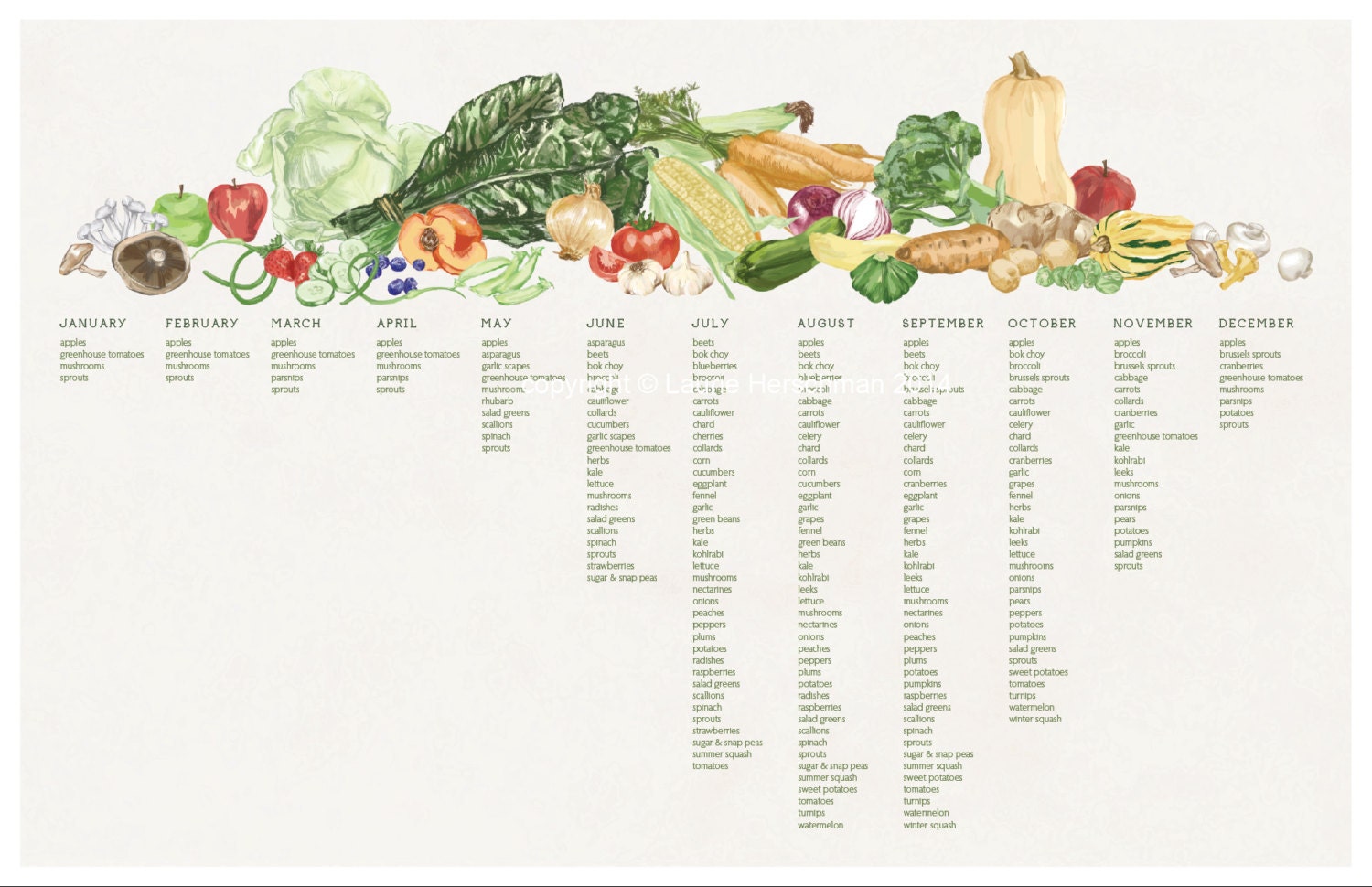 seasonal produce chart new england growing seasons 11x17