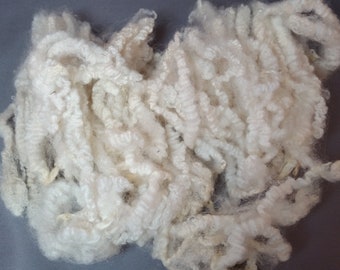 Locks / Fleece - Teeswater x Rambouillet 1 oz.