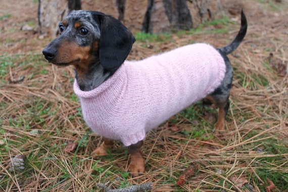 KNITTING PATTERN Mini Dachshund Seamless Dog Sweater Kint