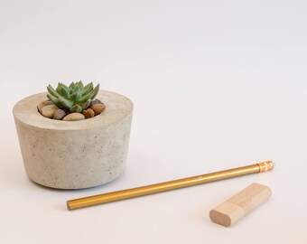 Concrete Planter, Succulent Planter, Handmade, Home Decor, Cement Planter, Includes Succulent, Gift Idea