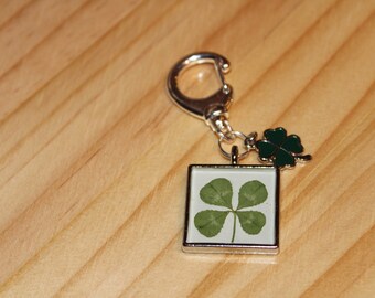 Real Four Leaf Clover Shamrock Key Chain