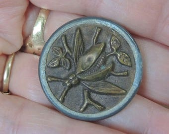 Mayfly Insect Button Rare Insect Button Vintage Picture Button Brass Button