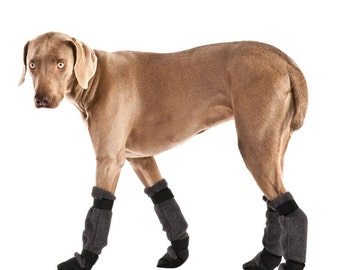 WEIMARANER Dog Booties, Winter Boots, Waterproof Dog Shoes, Dog Boots, Snow Boots, Dog socks, Dog Accessories, Dog Clothing, Winter Clothes