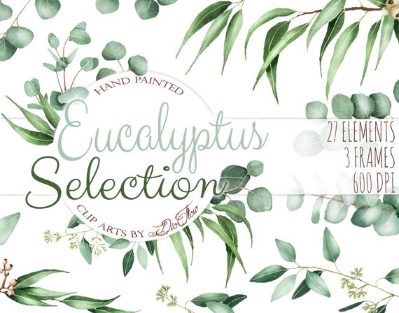 Download Watercolor Eucalyptus Clipart Greenery Clip Art Eucalyptus