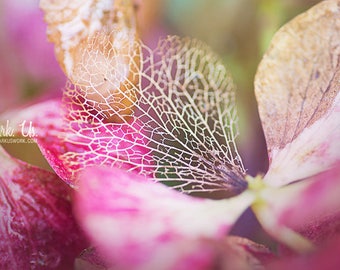 Poster "softly faded" flowers of pink geranium with foil slasher