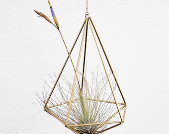 Air plant holder geometric Himmeli Decahedron diamond Nr01 (plant incl.
