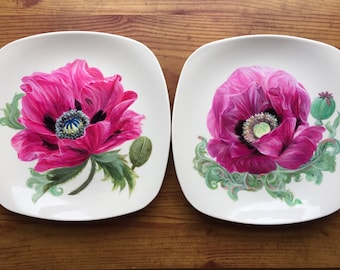 Hand painted Porcelain plates