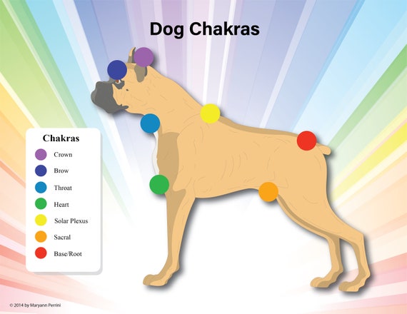 7 Chakra Dog Printable Educational Chart Animals Reiki Hand