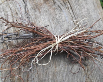 Roots for craft, alder roots, tiny roots,natural supplies, floral supplies, raw eco friendly supplies
