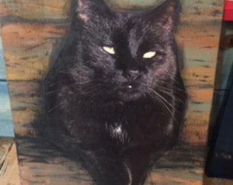 Photo of your cat or dog on a wood board