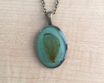 Cicada Wing Pendant Necklace (Blue Green)