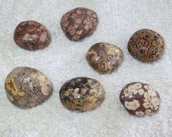 Destash Lots - Qty 7 - Leopard Skin Jasper Tumbles / Tumbled - Inventory Reduction