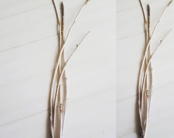 Long Skinny Driftwood Branches for Coastal Home Decorating & Crafts Set of 4 SK4