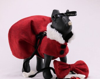 Christmas dog coat dress with dog leash