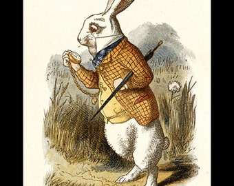 The White Rabbit, 1890, John Tenniel, Alice in Wonderland 8x10" Cotton Canvas Print