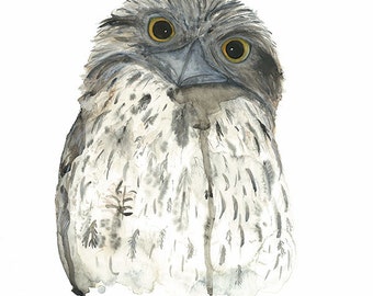 Tawny Frogmouth Print, Australian Native Bird Art, Australian Watercolour, Nature Wall Art, Made in Australia Fauna Gift