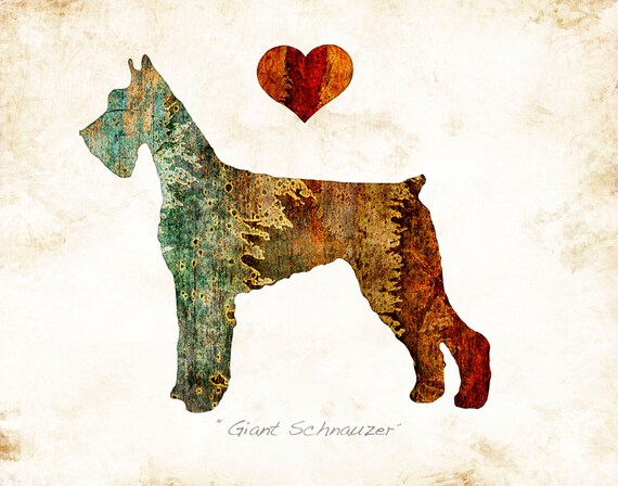 Download Giant Schnauzer Dog Breed Watercolor Print Signed by Artist