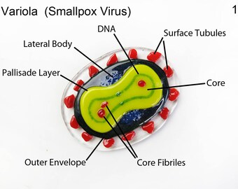 Smallpox Variola Virus Fused Glass Ornament Suncatcher