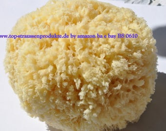 Natural sponge for body care, first quality, genuine natural sponge BS 0610