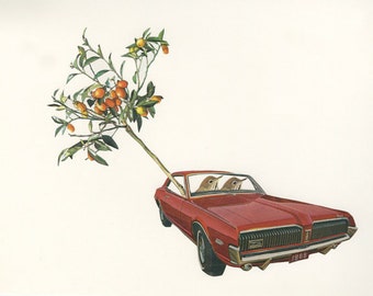 Harold and Maude abscond with an ailing kumquat tree. Limited edition print of an original collage by Vivienne Strauss.