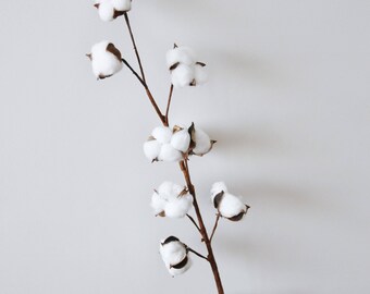 Dried Cotton Branch 29.5" Long 8 Cotton Balls Branches Cotton Ball Stalks Natural Rustic Wedding Decor Centerpiece Wreath