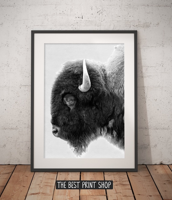 Buffalo print bison wall art black and white buffalo modern minimal animal photography printable art instant download 18 x 24 Buffalo print bison wall art black and white buffalo modern minimal animal photography printable art instant download 18 x 24
