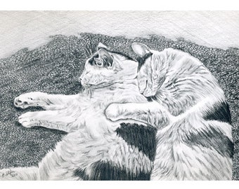 5x7 Greeting Card "Kitties"