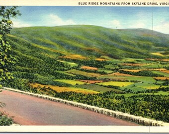 Skyline Drive, Blue Ridge Mountains, Virginia - Vintage Postcard - Postcard - Unused (X)