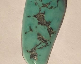 Domestic Turquoise Cabochon #14