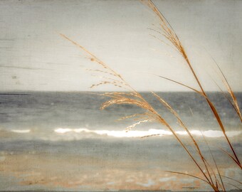 Blue Sea, warm cream tones, browns, golds,fine art photography 8x12