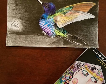 Colorful Hummingbird