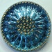 Czech Glass Button 10"= 23mm - hand painted daisy - sky blue, gold (B23066)