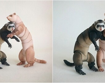BJD Ferret
